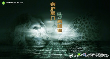 成全视频大全高清全集