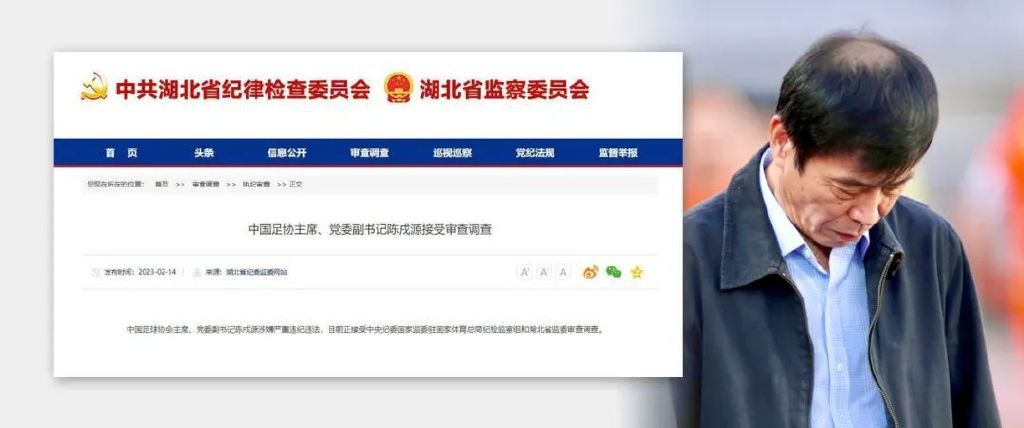 安森夫妇