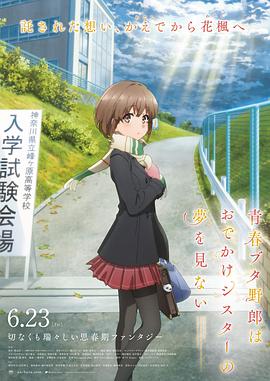 国产hs免费高清在线观看