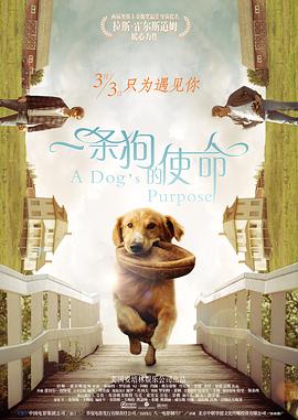 silk071日剧电视剧免费观看全集