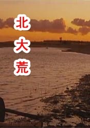 精品久久中文字幕久久av