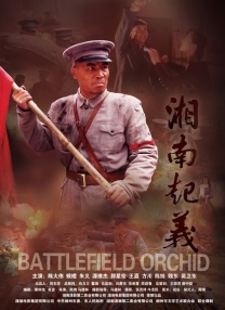 精品视频一区二区三区在线观看