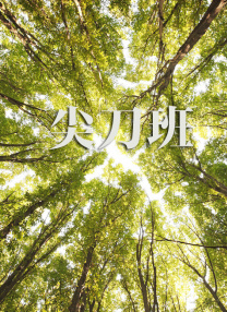 遭受的快乐女们