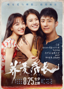 91黄色免费观看