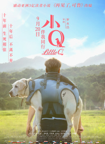 国产一区二区视频在线播放