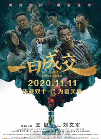 久久精品免费视频观看
