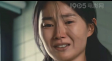 河北彩花种子品种大全2023年