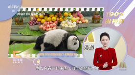 性爱工人